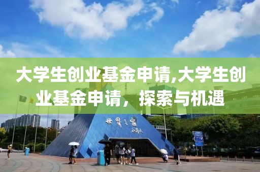 大学生创业基金申请,大学生创业基金申请，探索与机遇