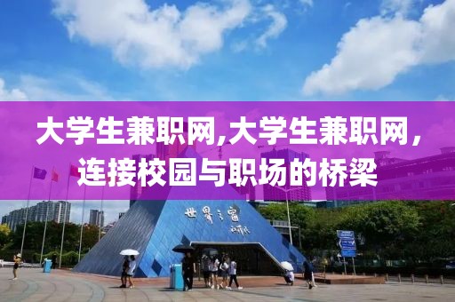 大学生兼职网,大学生兼职网，连接校园与职场的桥梁