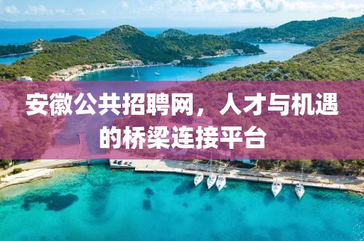 安徽公共招聘网，人才与机遇的桥梁连接平台