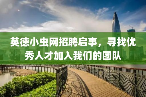 英德小虫网招聘启事，寻找优秀人才加入我们的团队