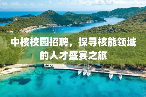 中核校园招聘，探寻核能领域的人才盛宴之旅