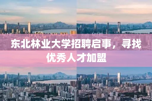 东北林业大学招聘启事，寻找优秀人才加盟