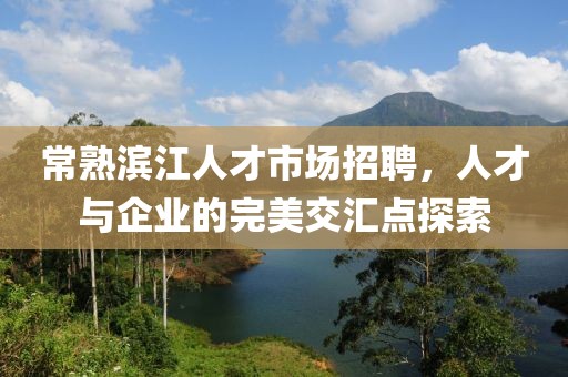 常熟滨江人才市场招聘，人才与企业的完美交汇点探索