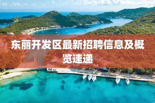 东丽开发区最新招聘信息及概览速递