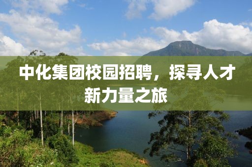 中化集团校园招聘，探寻人才新力量之旅