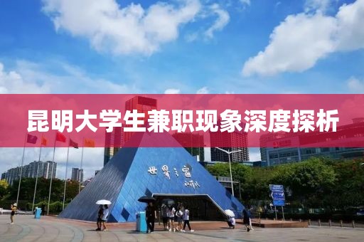 昆明大学生兼职现象深度探析