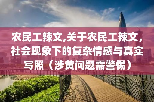 农民工辣文,关于农民工辣文，社会现象下的复杂情感与真实写照（涉黄问题需警惕）