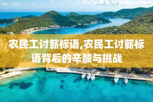 农民工讨薪标语,农民工讨薪标语背后的辛酸与挑战