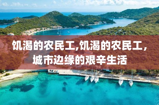 饥渴的农民工,饥渴的农民工，城市边缘的艰辛生活